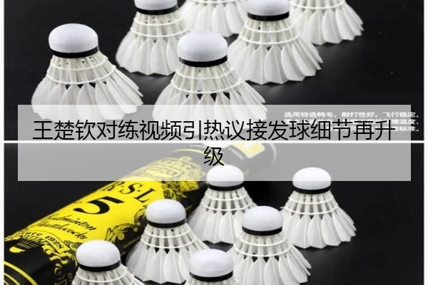 王楚钦对练视频引热议接发球细节再升级